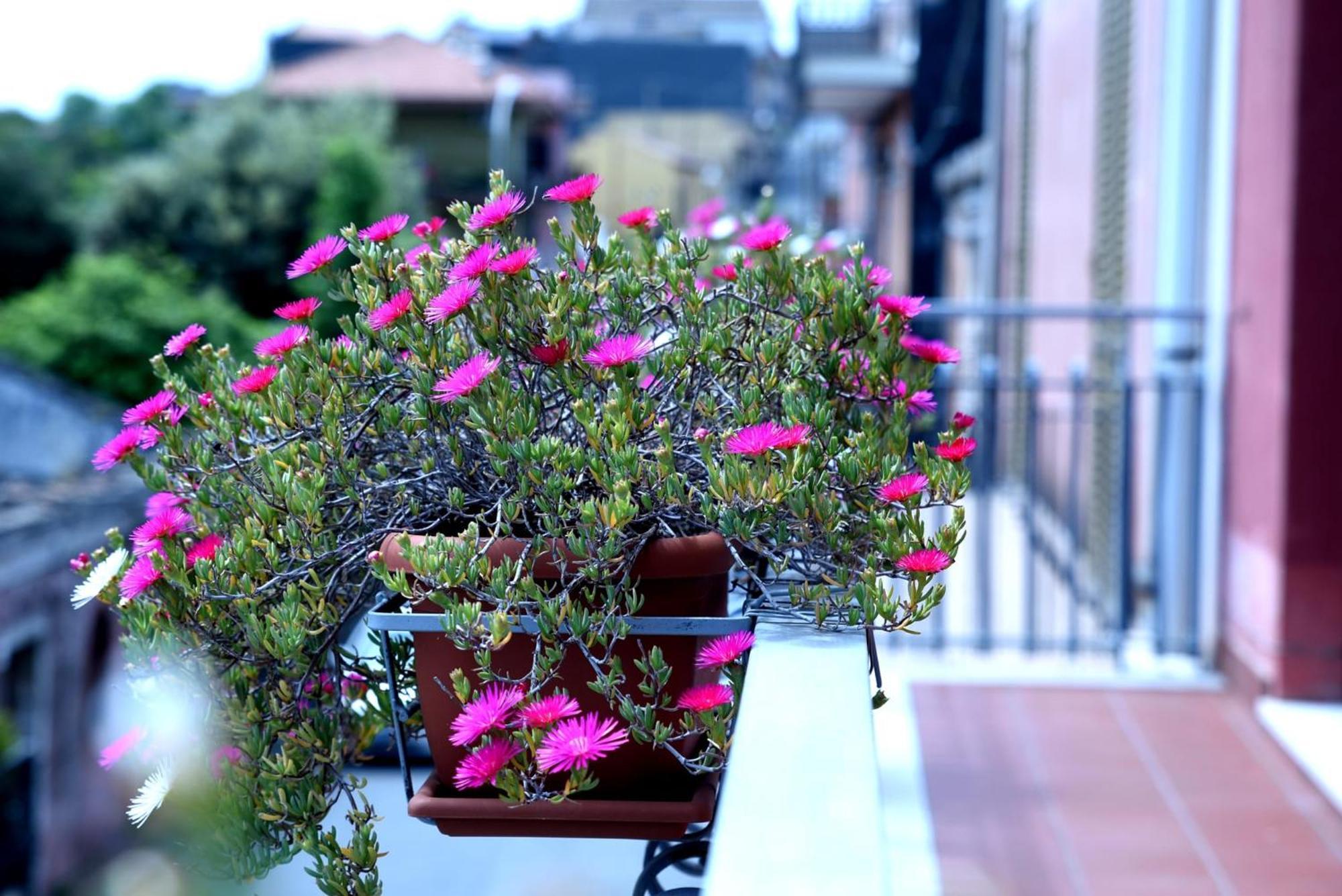 אסראלה Casa Vacanze Borgata Del Sorbo מראה חיצוני תמונה