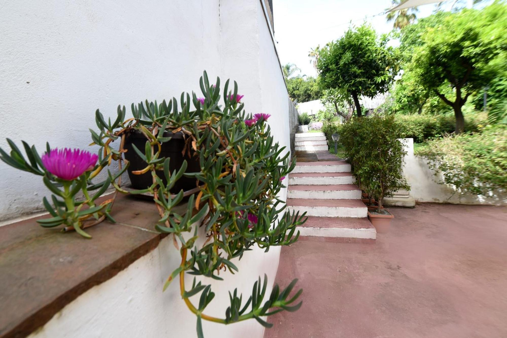 אסראלה Casa Vacanze Borgata Del Sorbo מראה חיצוני תמונה